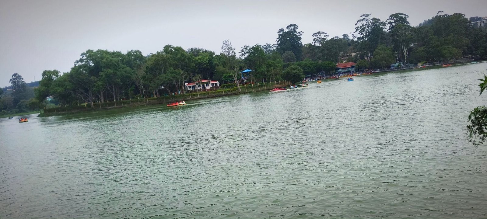 Yercaud Lake with boats on the water